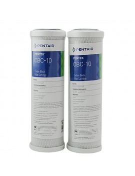 Pentair 濾芯